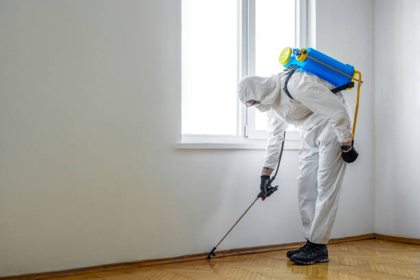 Best Best Pest Control Companies  in Ashton Sandy Spring, MD